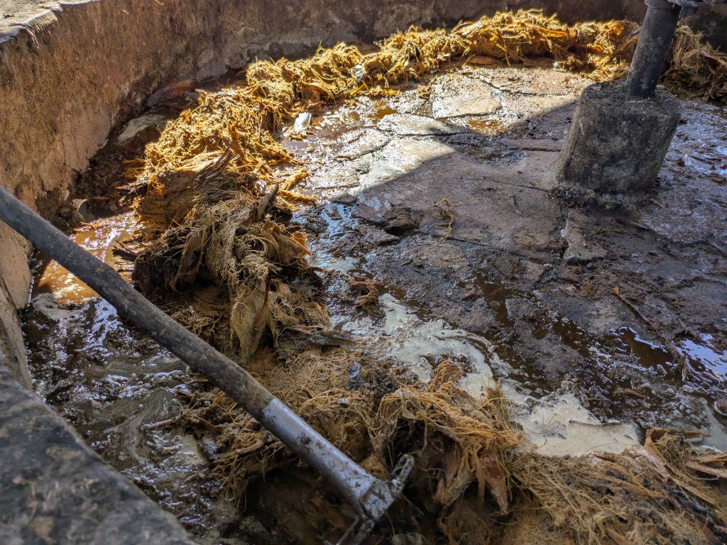 Schritt 1 Tahona und Esel 4