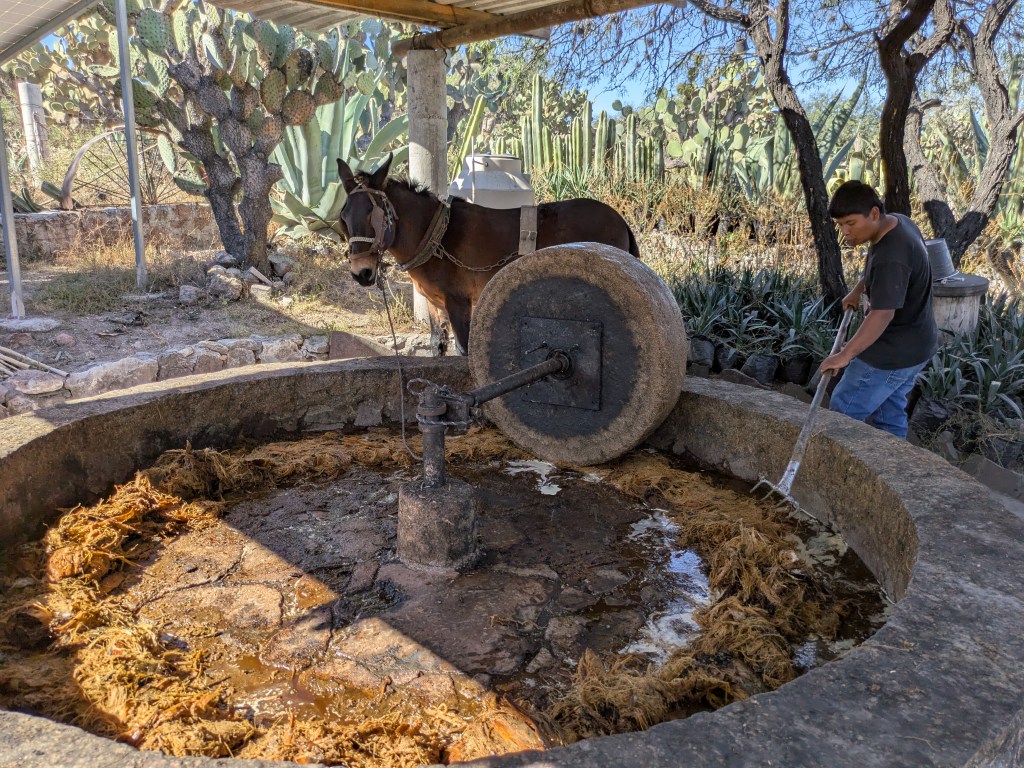 Schritt 1 Tahona und Esel 3