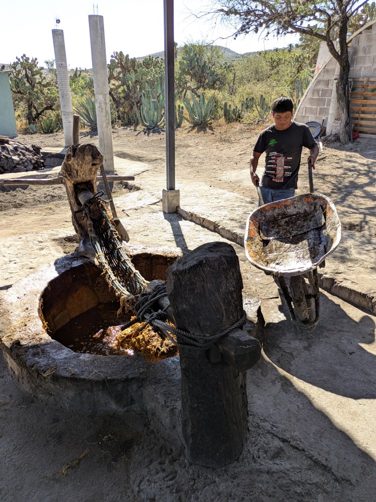 Mit Hängematte auspressen 3