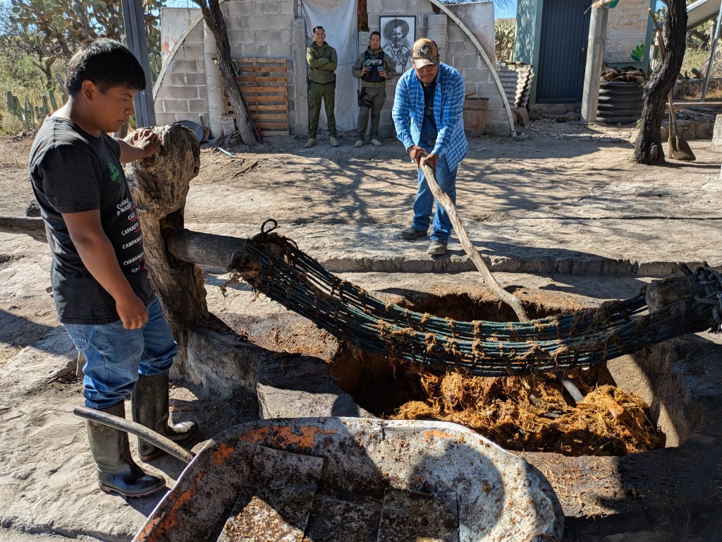 Mit Hängematte auspressen 6