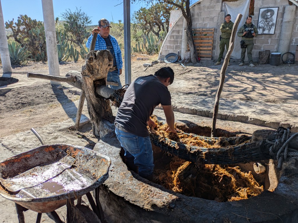 Mit Hängematte auspressen 1