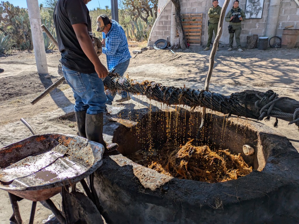 Mit Hängematte auspressen 4