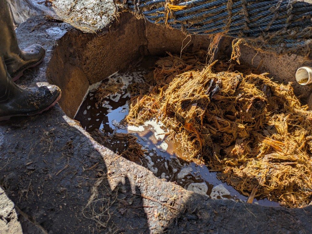 Mit Hängematte auspressen 7