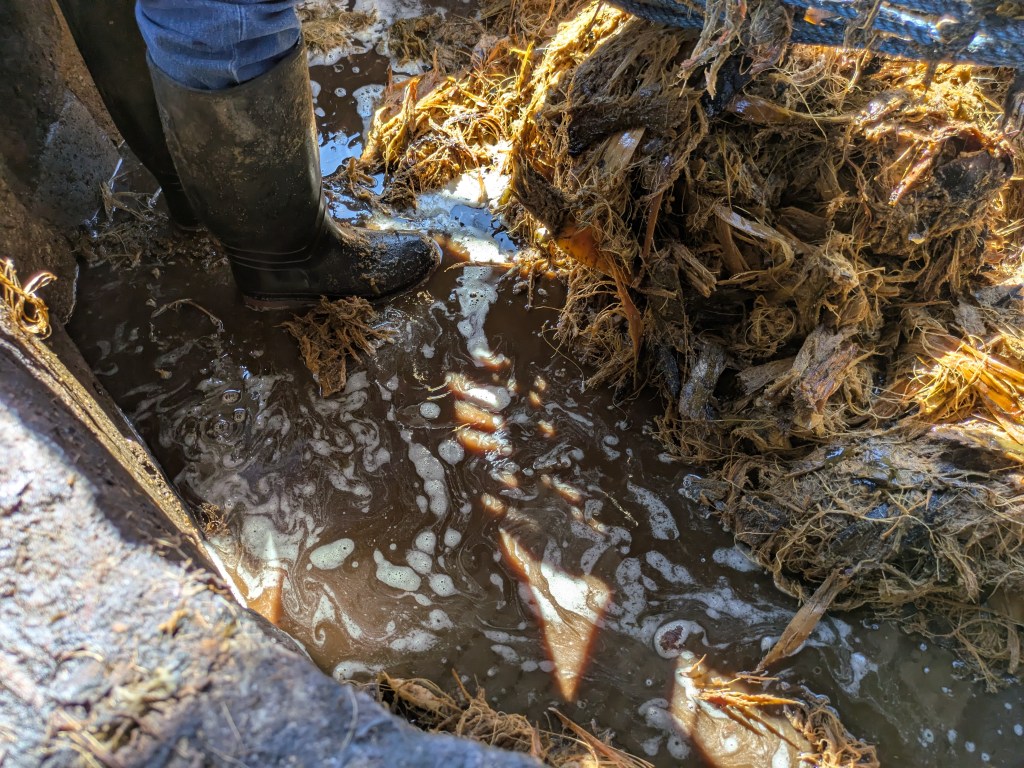 Mit Hängematte auspressen 9