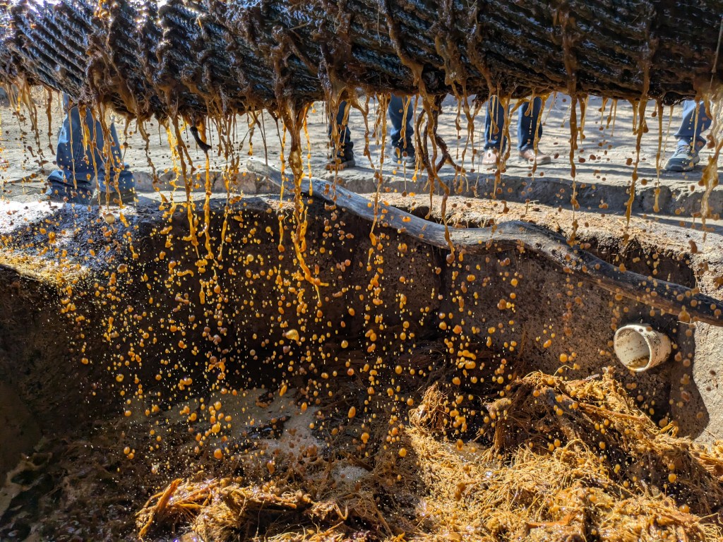 Mit Hängematte auspressen 2
