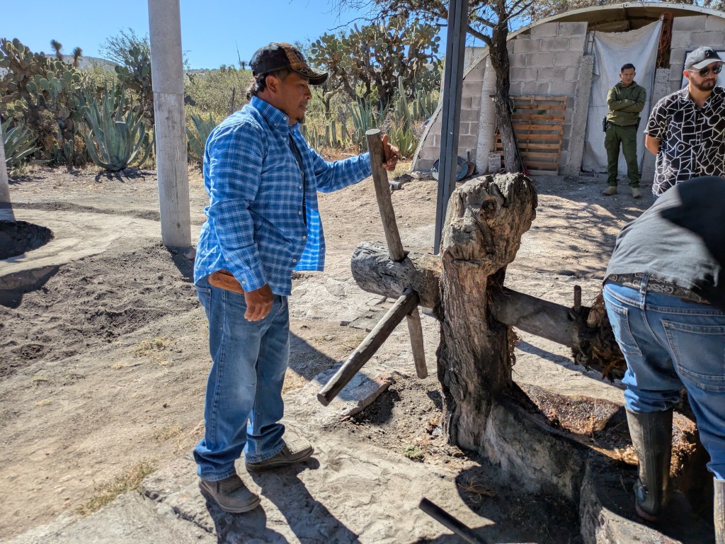 Mit Hängematte auspressen 5