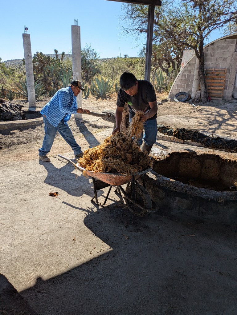 Mit Hängematte auspressen 8
