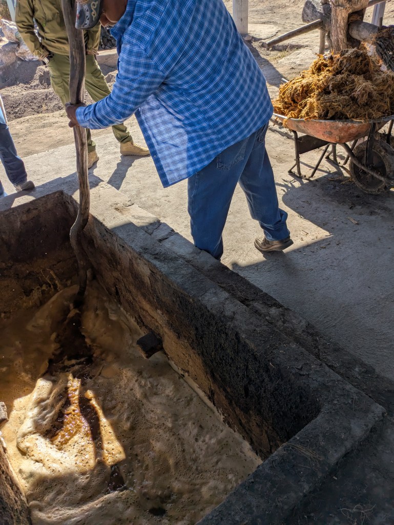 Fermentationsgrube 3