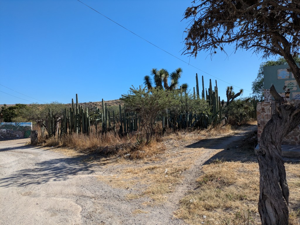 Taberna Navarro San Luis Potosí 02