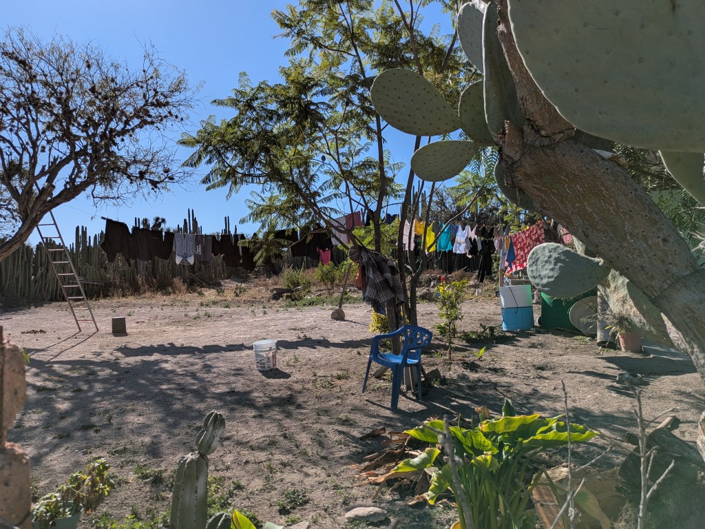 Taberna Navarro San Luis Potosí 06