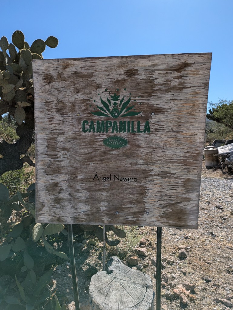 Taberna Navarro San Luis Potosí 09