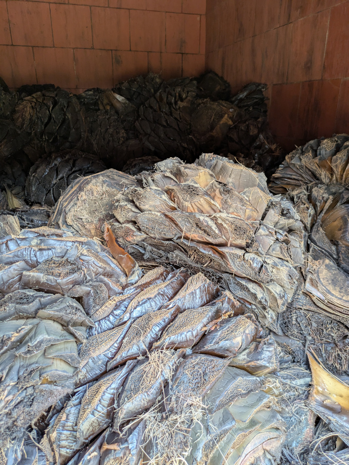 Taberna Tres Gallos 05