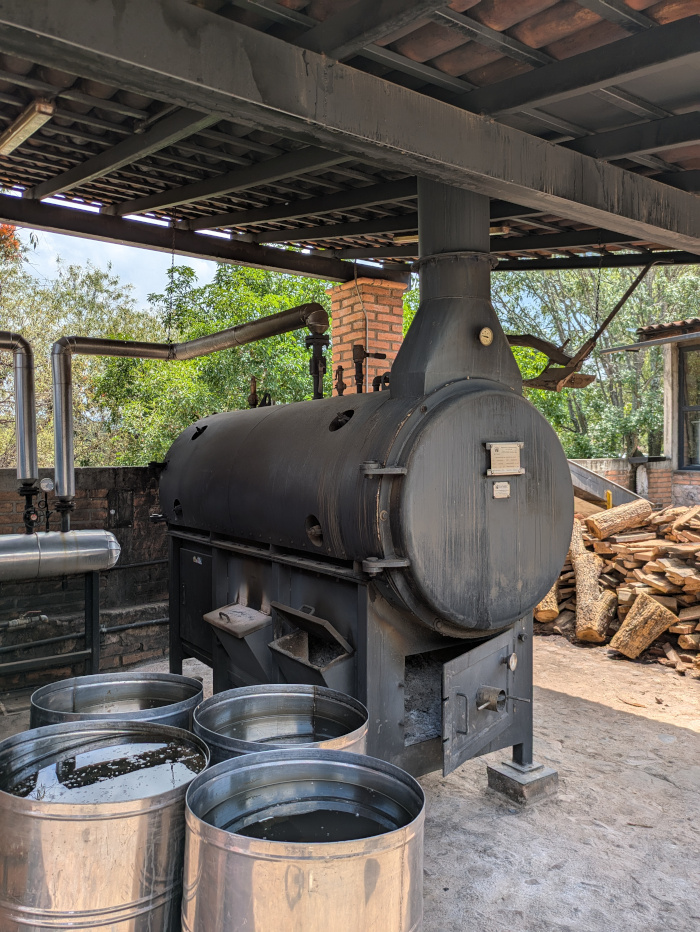 Taberna Tres Gallos 06