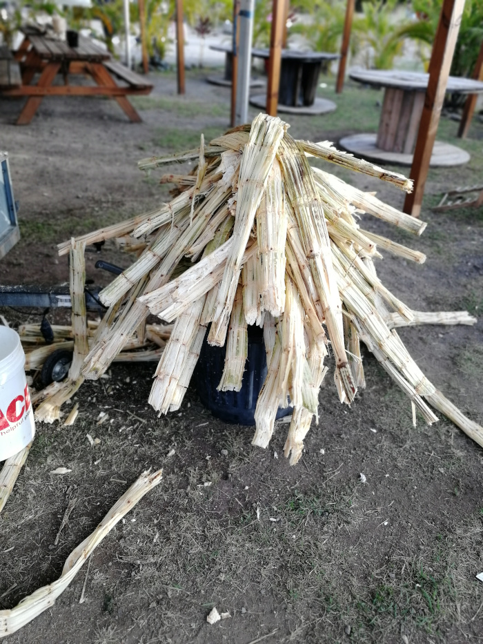 Papa Rouyo Besuch 13