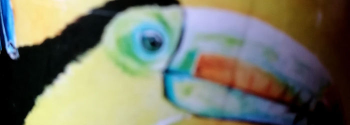 Toekan Aperitiefbier Titel