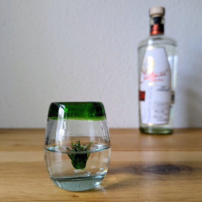 Cachasol Tequila Blanco Epic Strength Glas