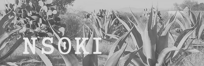 Nsoki Destilado de Pulque Titel