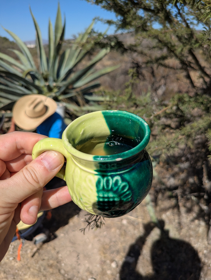 San Luis Potosí Pulque 08